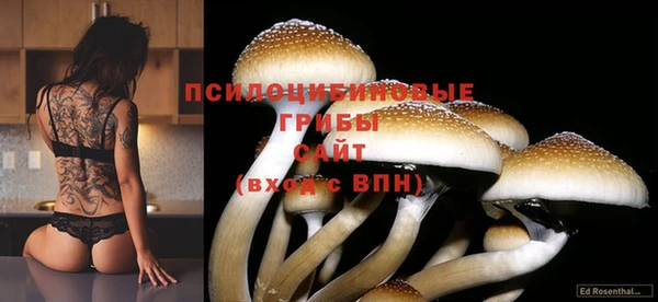 шишки Бронницы