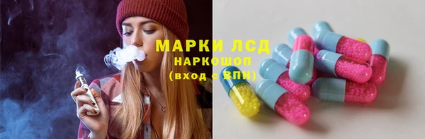 spice Богданович