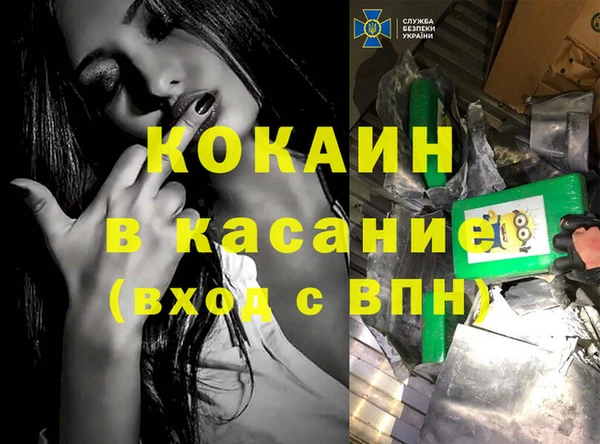 шишки Бронницы