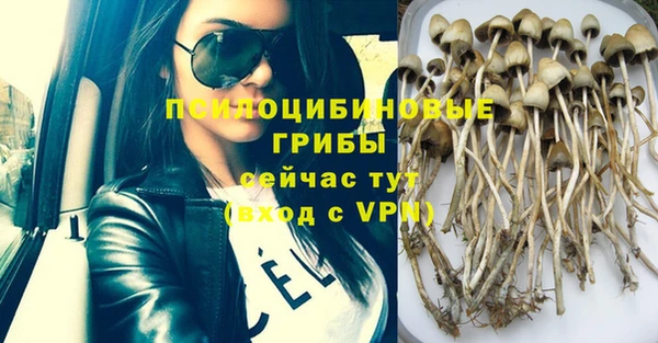 мдпв Богородицк