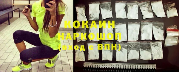 шишки Бронницы