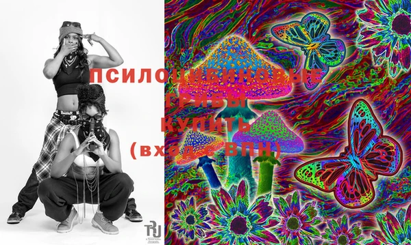 apvp Бугульма