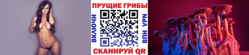 продажа наркотиков  Городец  Галлюциногенные грибы Psilocybine cubensis 
